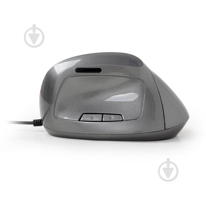 Мышка Gembird MUS-ERGO-02 grey - фото 2