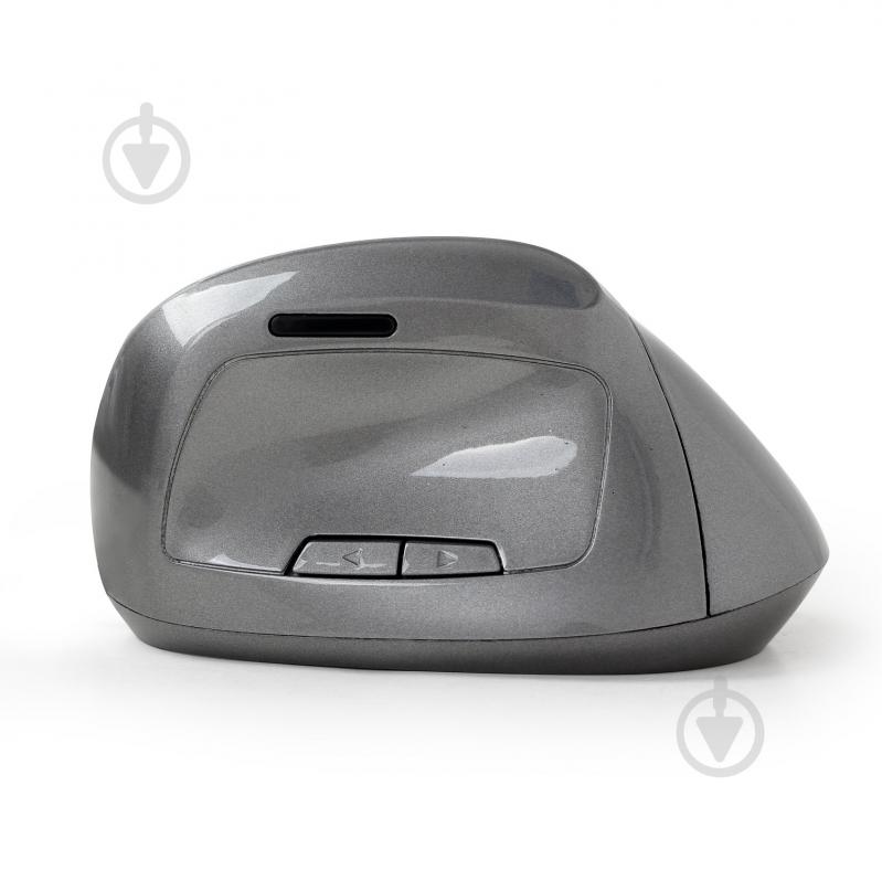 Мышка Gembird MUSW-ERGO-02 grey - фото 2