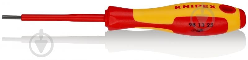 Отвертка KNIPEX для винтов с профилем внутренний шестигранник 98 13 25 - фото 1 Отвертка KNIPEX для винтов с профилем внутренний шестигранник 98 13 25 - фото 1
