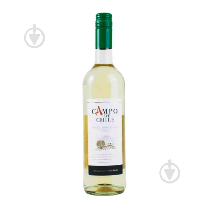 Вино Campo de Chile белое сухое Sauvignon Blanc 750 мл - фото 1