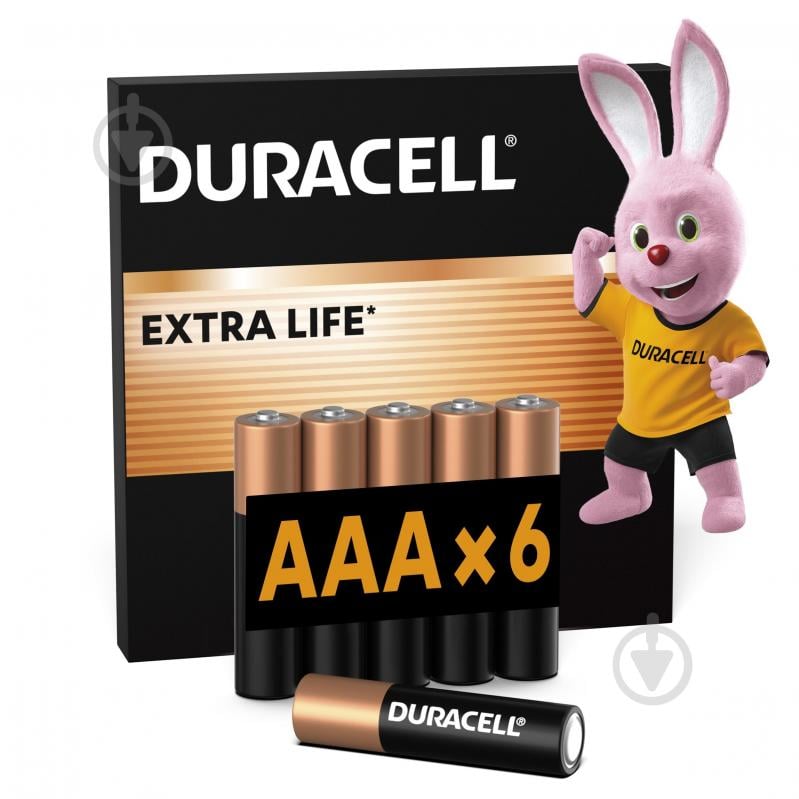 Батарейки щелочные Duracell (LR03) MN2400 Basic AAA (мизинчиковые) 6 шт. - фото 1