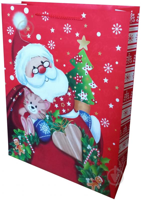 Пакет подарунковий новорічний 18cмх22см Преміум дитячі дизайни Happycom International - фото 1 Пакет подарунковий новорічний 18cмх22см Преміум дитячі дизайни Happycom International - фото 1
