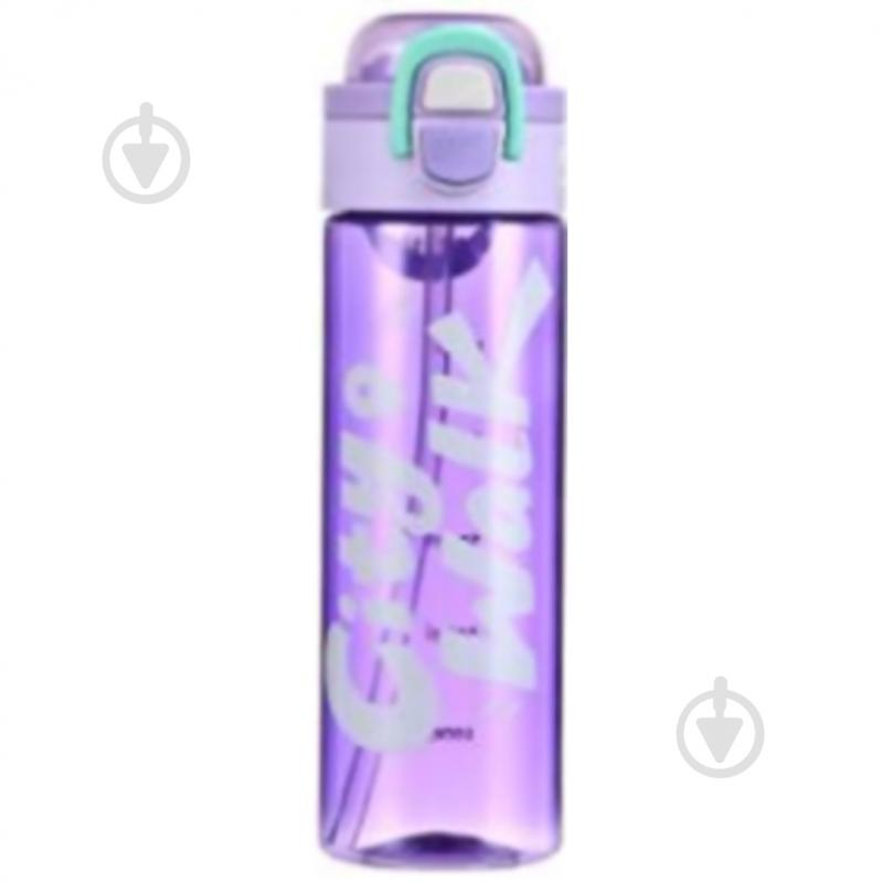 Бутылка для воды ARDESTO City Walk 680 мл фиолетовый AR2268CP - фото 1