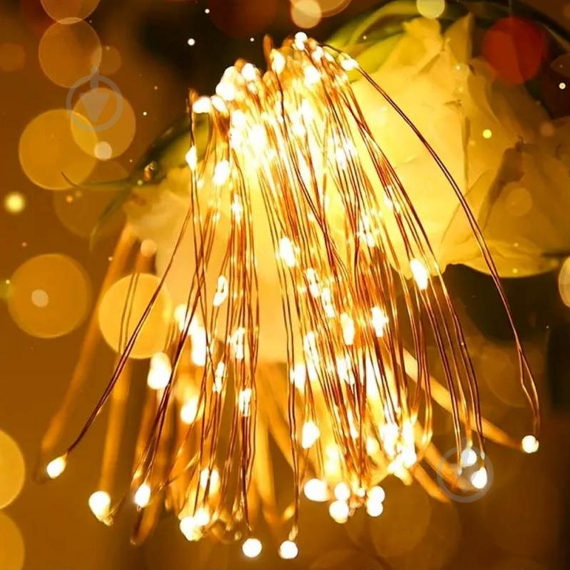 Гирлянда светодиодная ColorWay светодиодная (LED) 50 ламп 5 м (CW-G-50L5NB) - фото 8