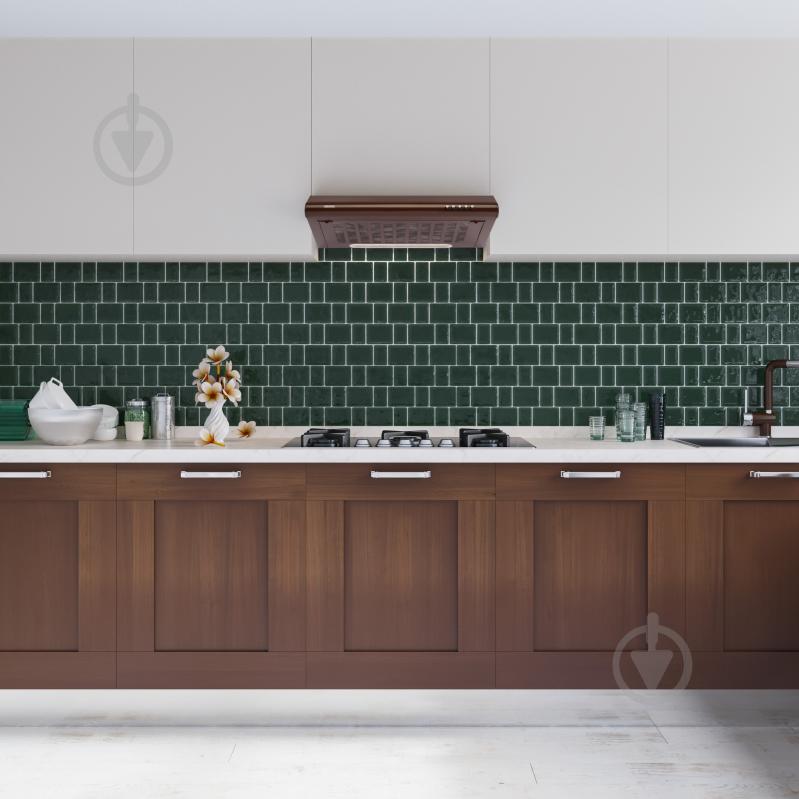 Вытяжка Eleyus Vizor 60 BR - фото 12