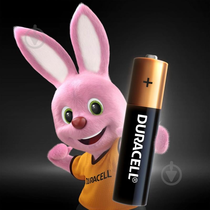 Батарейки Duracell Professional AAA (мізинчикові) 2 шт. (81578679) - фото 2