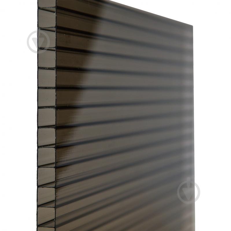 Полікарбонат стільниковий OSCAR PREMIUM 8x1050х2000 мм бронза - фото 1
