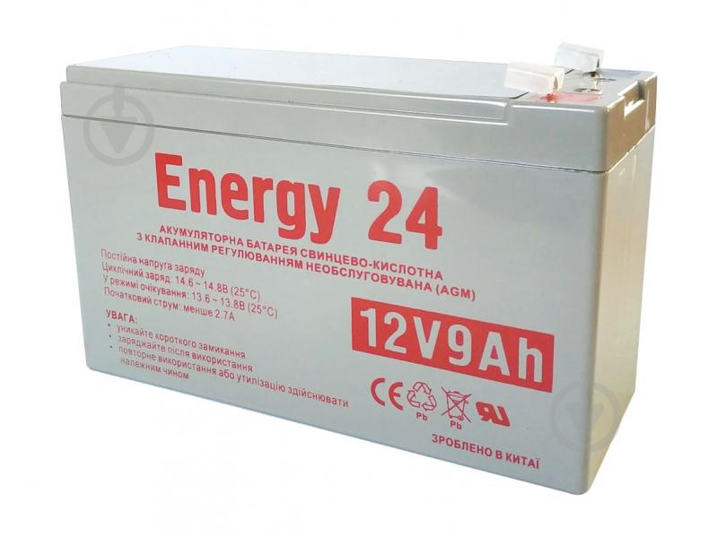 Аккумулятор Energy 24 12V9Ah - фото 1