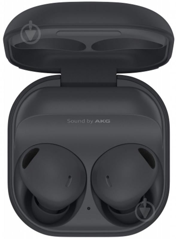 Наушники Samsung Galaxy Buds2 Pro graphite (SM-R510NZAASEK) - фото 1