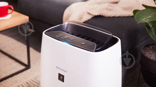 Очиститель воздуха Sharp FPJ40EUW - фото 17