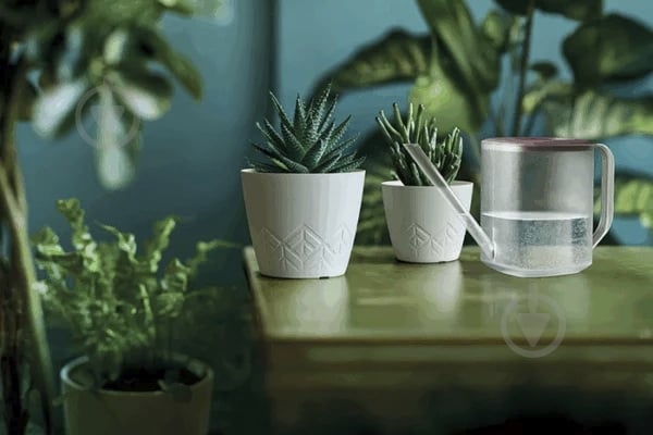 Лійка для квітів PRP TUBI 1 л, прозоро-зелена - фото 2 Лійка для квітів PRP TUBI 1 л, прозоро-зелена - фото 2