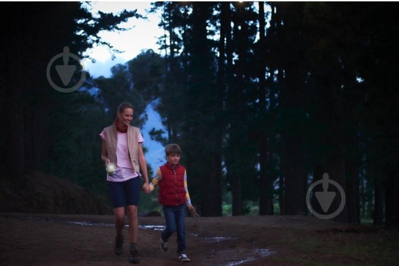 Ліхтар RYOBI ONE+ світлодіодний (без АКБ і ЗП) R18T-0 - фото 8 Ліхтар RYOBI ONE+ світлодіодний (без АКБ і ЗП) R18T-0 - фото 8