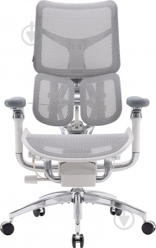 Кресло офисное Sihoo DORO S300 Mesh Light Grey черный - фото 1 Кресло офисное Sihoo DORO S300 Mesh Light Grey черный - фото 1