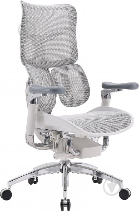 Кресло офисное Sihoo DORO S300 Mesh Light Grey черный - фото 2 Кресло офисное Sihoo DORO S300 Mesh Light Grey черный - фото 2
