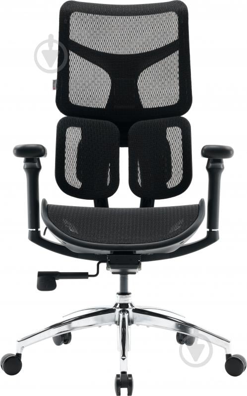 Кресло офисное Sihoo DORO S100 Mesh Black черный - фото 1