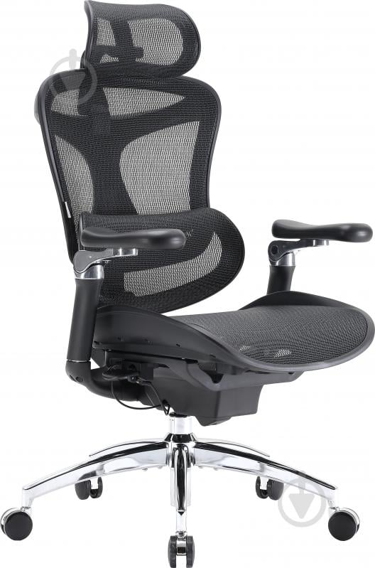 Кресло офисное Sihoo DORO C300 Pro Mesh Black (DORO-C300-PRO-M101) черный - фото 2
