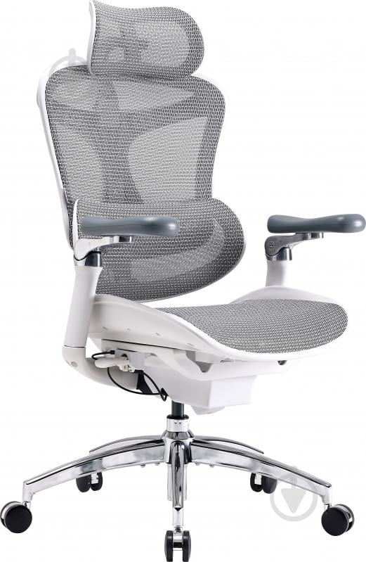 Кресло офисное Sihoo DORO C300 Pro Mesh White (DORO-C300-PRO-M102) серый - фото 2