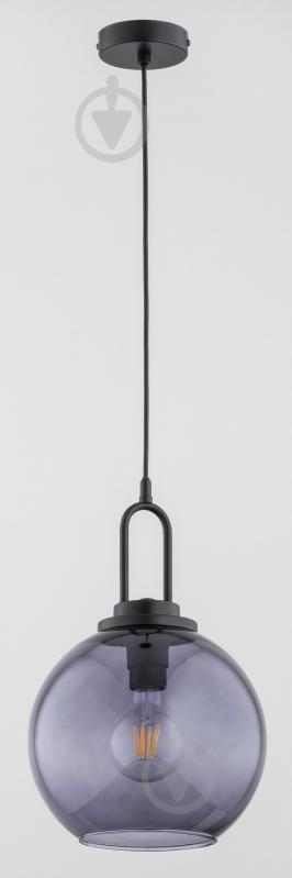 Подвес ALFA Septum 1x60 Вт E27 черный 60904 - фото 1
