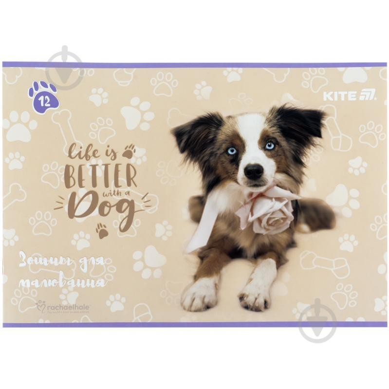 Альбом для рисования 12 л. Rachael Hale KITE - фото 2 Альбом для рисования 12 л. Rachael Hale KITE - фото 2