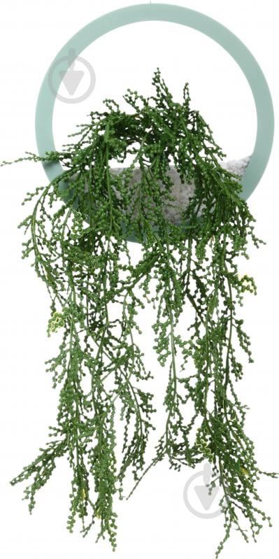 Декор настенный NCircle d20 эвкалиптовый - фото 1 Декор настенный NCircle d20 эвкалиптовый - фото 1