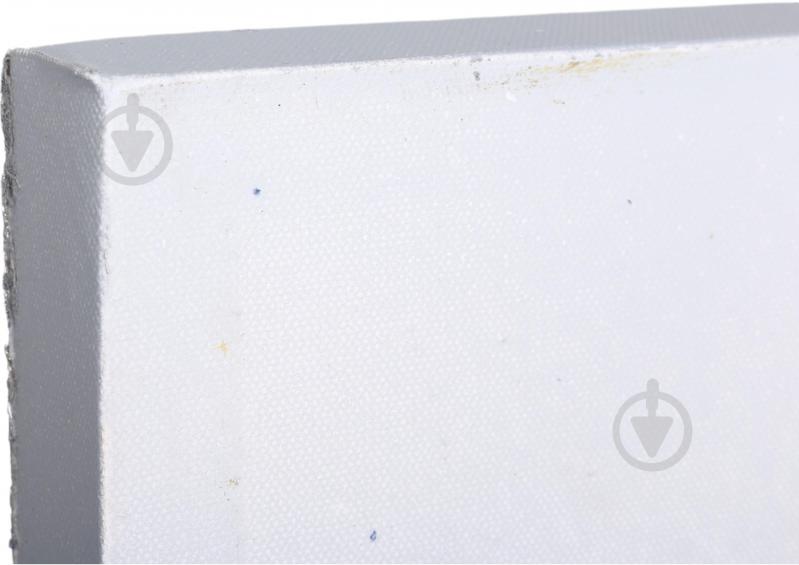 Картина Silver feather first 50x100 см - фото 4