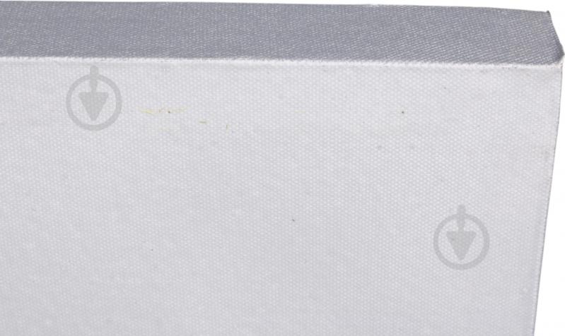 Картина Silver feather second 50x100 см - фото 4