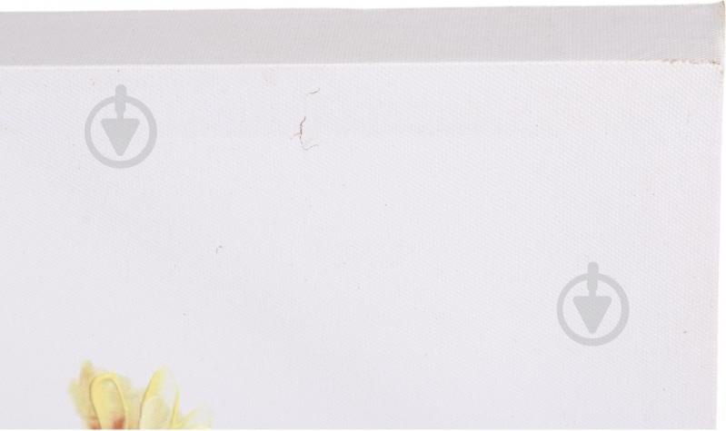 Картина Jar Flower sunny 60x60 см - фото 4