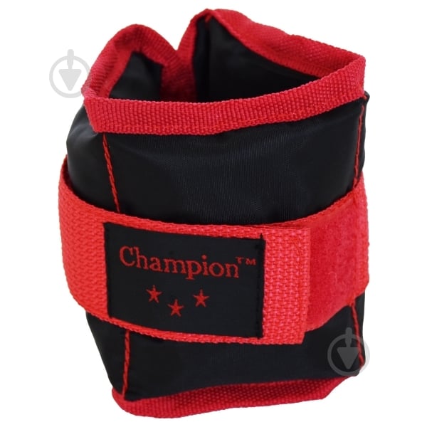 Утяжелители Champion 0,25 кг - фото 1