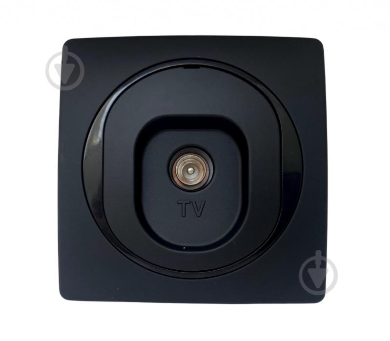 Розетка TV оконечная Aling-Conel Eon IP20 черный матовый E612I.E1 - фото 1