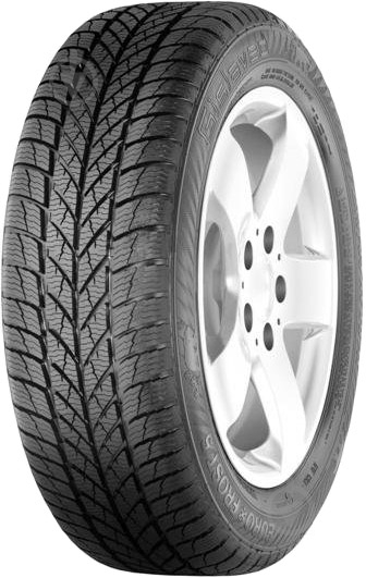 Шина Gislaved Euro Frost 5 175/65R14 82 T нешипована зима - фото 1