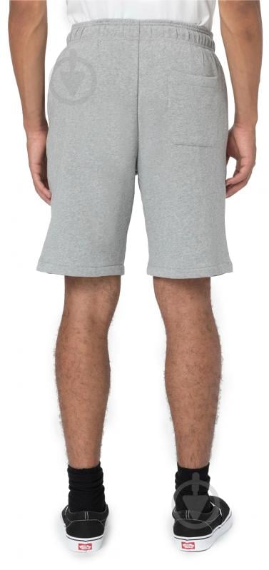 Шорты Dickies MAPLETON SHORT DK0A4Y83GYM1 р. 2XL серый - фото 2 Шорты Dickies MAPLETON SHORT DK0A4Y83GYM1 р. 2XL серый - фото 2