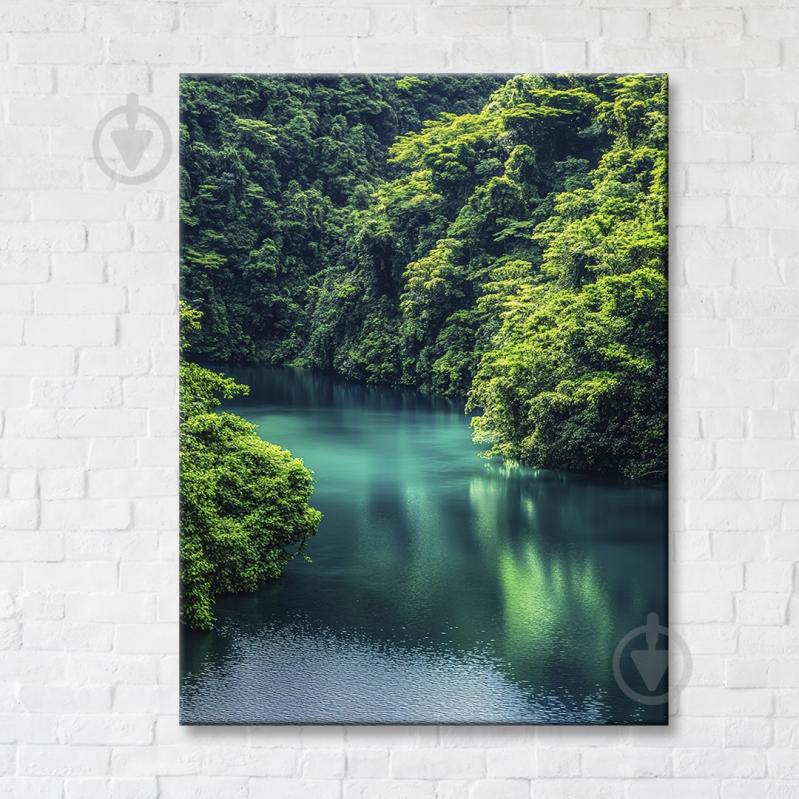 Картина на полотні Амазонка 1 75x100 см Brushme FNK0122024 - фото 1