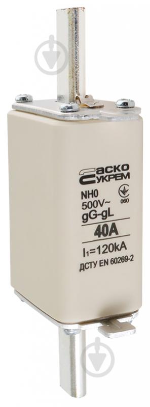 Предохранитель плавкий АСКОУКРЕМ NH0 40A gG A0050010020 - фото 2