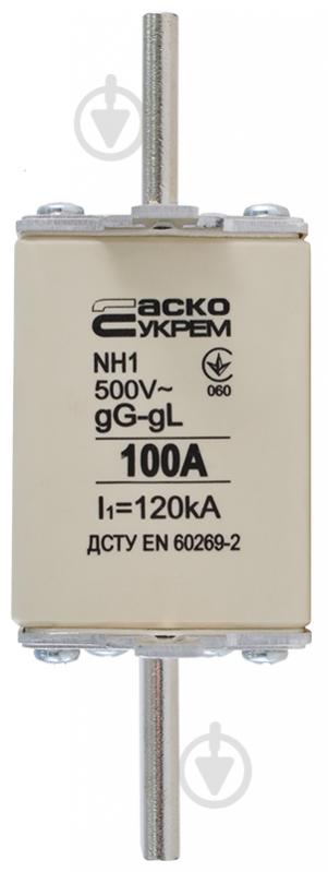 Предохранитель плавкий АСКОУКРЕМ NH1 100A gG A0050010028 - фото 1