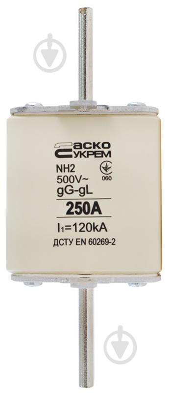 Предохранитель плавкий АСКОУКРЕМ NH2 250A gG A0050010035 - фото 1