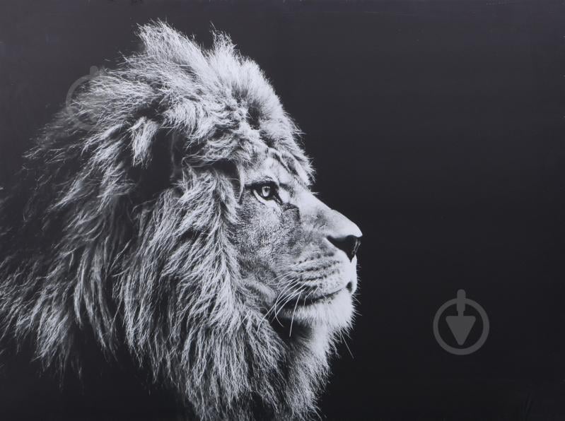 Картина Лев 100x75 см Styler - фото 1