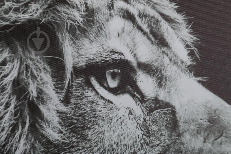 Картина Лев 100x75 см Styler - фото 3