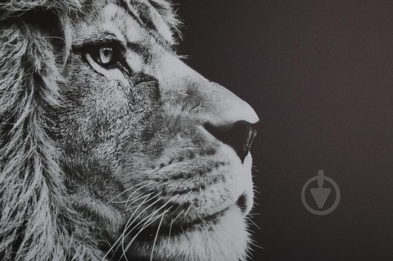 Картина Лев 100x75 см Styler - фото 4