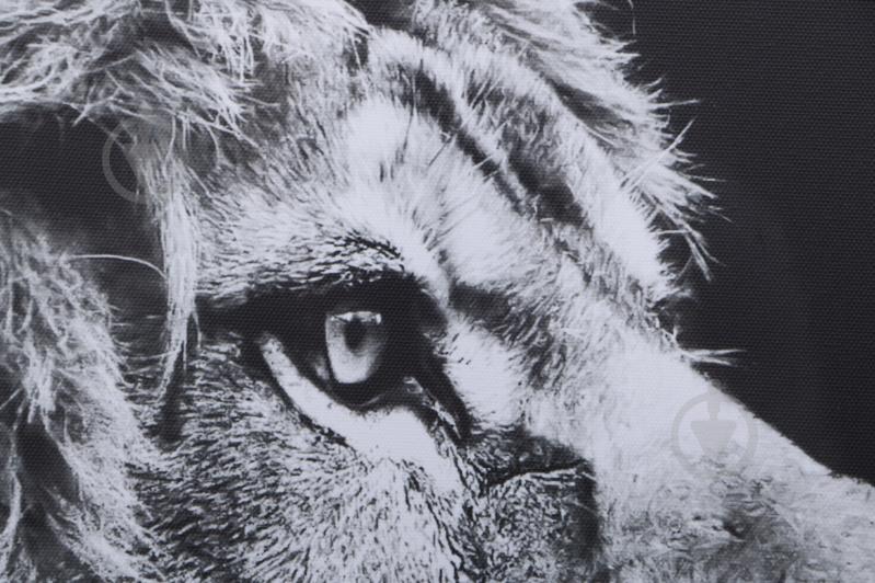 Картина Лев 100x75 см Styler - фото 6