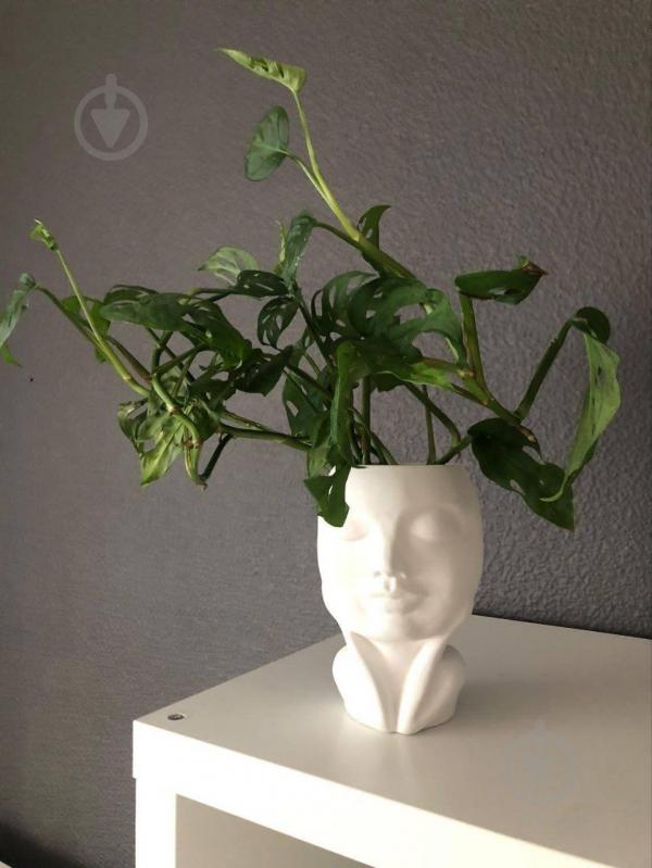 Кашпо керамическое Kerama tato Мечта 16 см белое - фото 11 Кашпо керамическое Kerama tato Мечта 16 см белое - фото 11