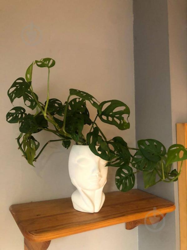 Кашпо керамическое Kerama tato Мечта 16 см белое - фото 10 Кашпо керамическое Kerama tato Мечта 16 см белое - фото 10