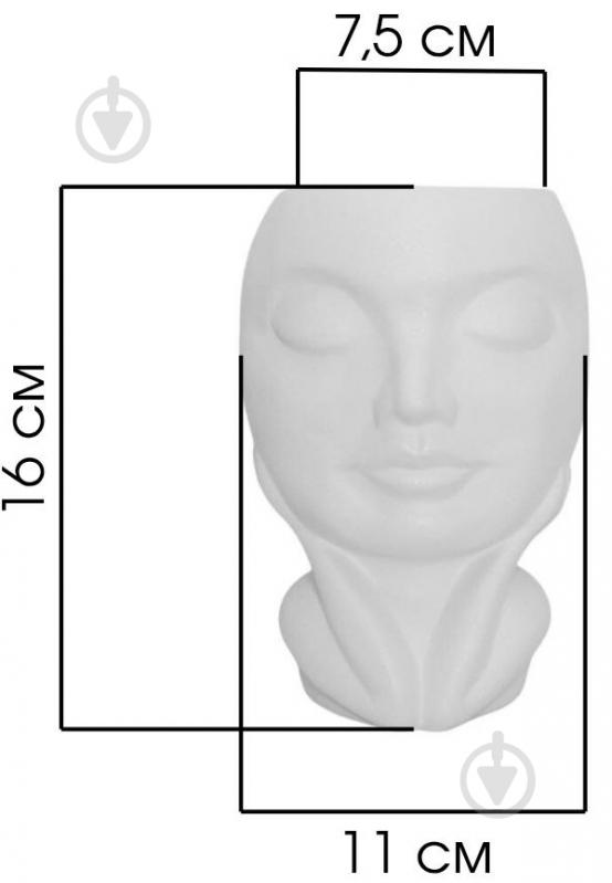 Кашпо керамическое Kerama tato Мечта 16 см белое - фото 12 Кашпо керамическое Kerama tato Мечта 16 см белое - фото 12