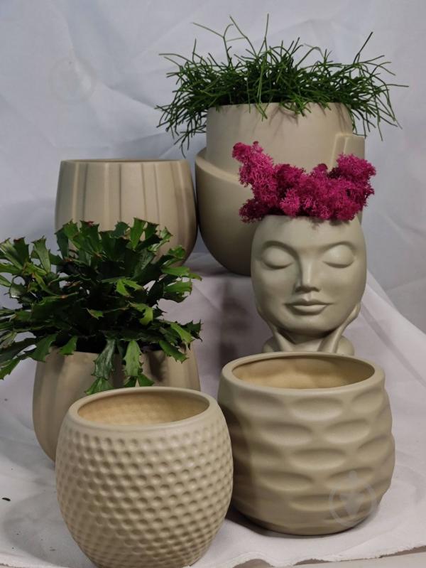 Кашпо керамическое Kerama tato Мечта 16 см мокко - фото 9 Кашпо керамическое Kerama tato Мечта 16 см мокко - фото 9