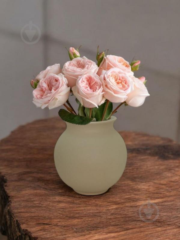 Ваза керамічна Kerama tato Сфера 16,5 см мокко - фото 8 Ваза керамічна Kerama tato Сфера 16,5 см мокко - фото 8