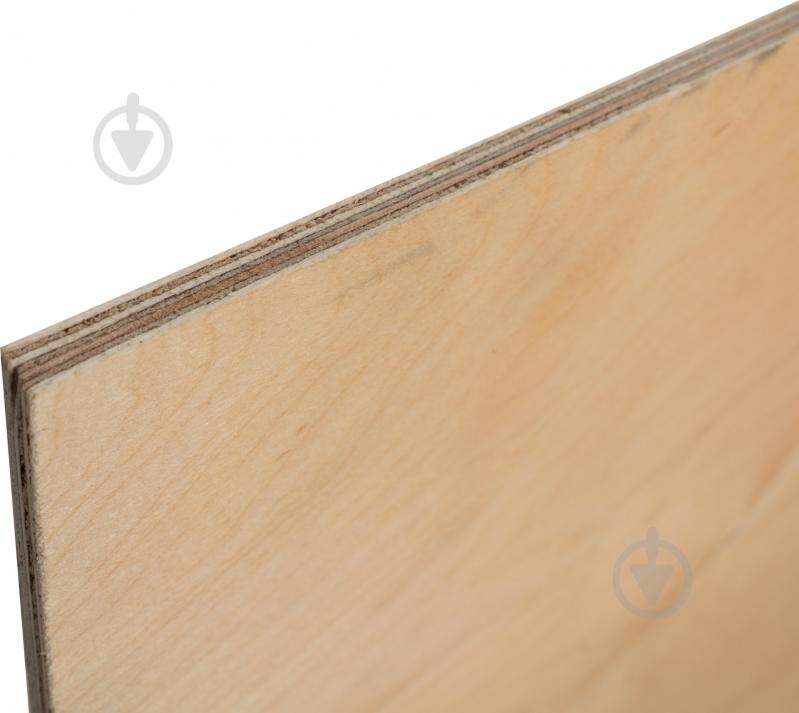 Фанера ФСФ 2500x1250x9 мм (сорт СС) - фото 2