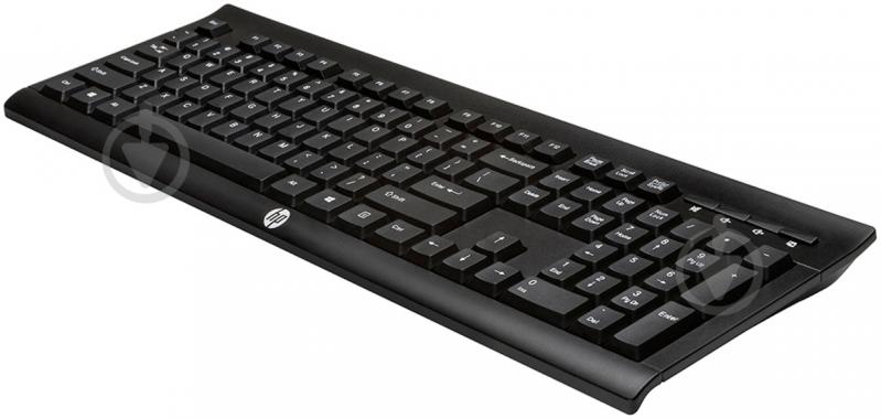 Клавиатура HP K2500 Wireless Keyboard (E5E78AA) black - фото 2
