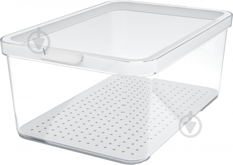 Контейнер для пищевых продуктов с крышкой Rotho CAUMA 4,65 л прозрачный/белый - фото 1 Контейнер для пищевых продуктов с крышкой Rotho CAUMA 4,65 л прозрачный/белый - фото 1