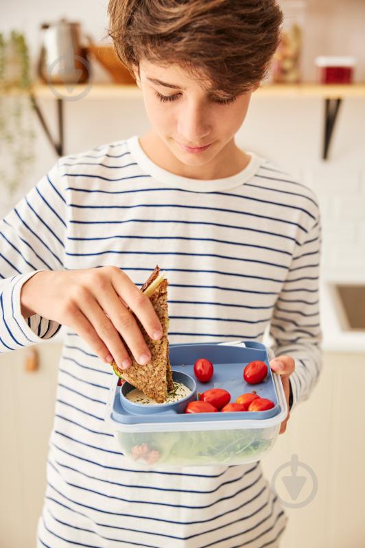 Контейнер для пищевых продуктов с крышкой Rotho MEMORY 1,7 л голубой - фото 5