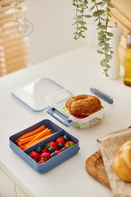 Контейнер для пищевых продуктов с крышкой Rotho MEMORY 1 л голубой - фото 3 Контейнер для пищевых продуктов с крышкой Rotho MEMORY 1 л голубой - фото 3