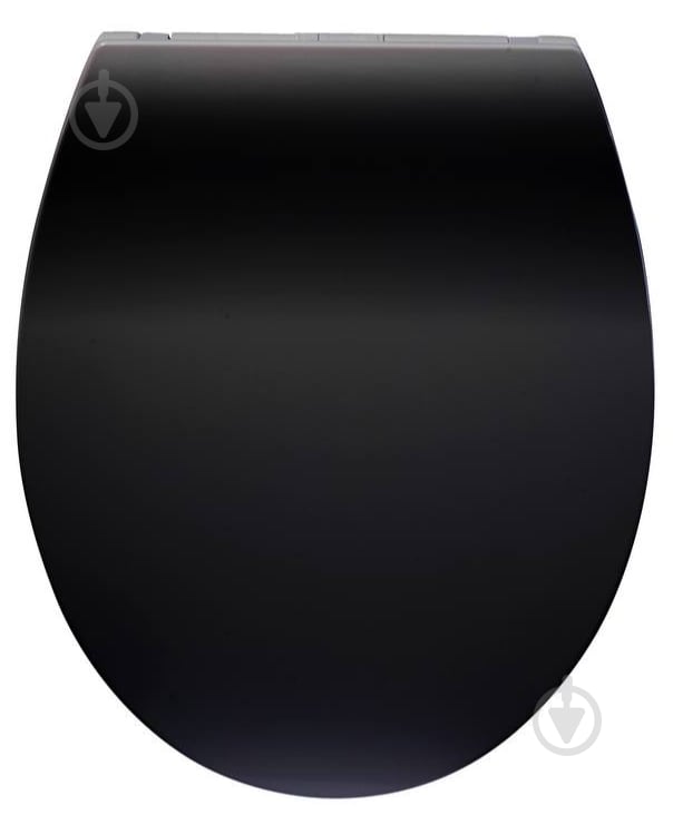 Сиденье для унитаза ScandiSPA SLIM DM BLACK - фото 1